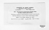 Image Associated With the Occurence